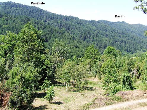 A Panaliste (814 m) és a Dacim (776 m)