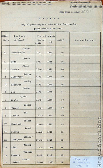 Az 1929-es felmérés egy lapja