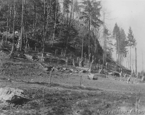 Egy egyelőre azonosítatlan temető a térségből, a Mrzli vrh, vagy a Vodil vrh oldalában
