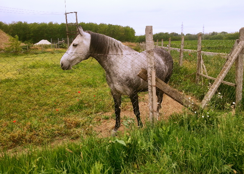 20140531_093146-picsay.png