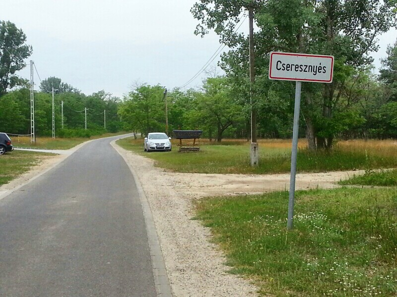 runtastic2014-05-31_10_01_26-picsay.png