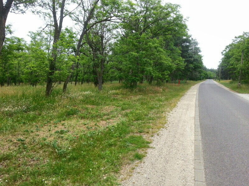 runtastic2014-05-31_10_01_42-picsay.png