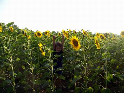 2013 barninapraf_1.jpg