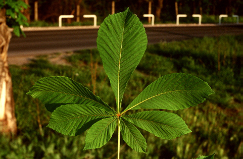 F302401_1.jpg