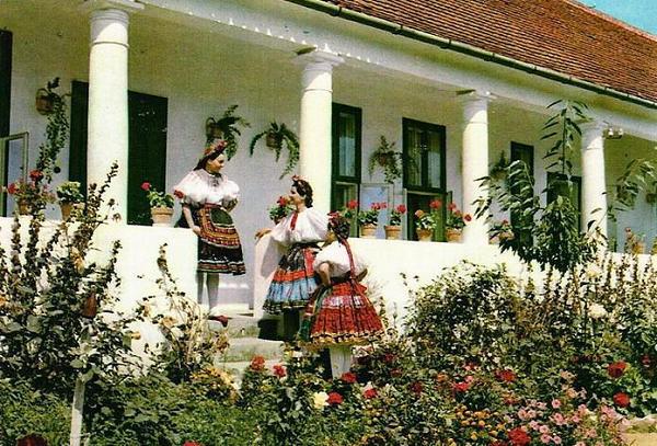 decsiviselet sarkoz.jpg