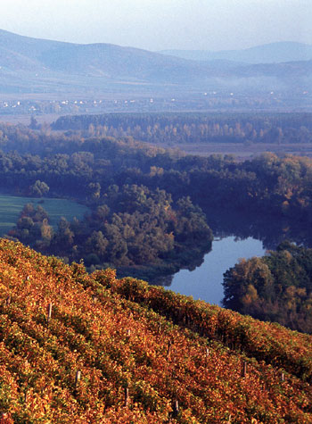 tokaj.jpg