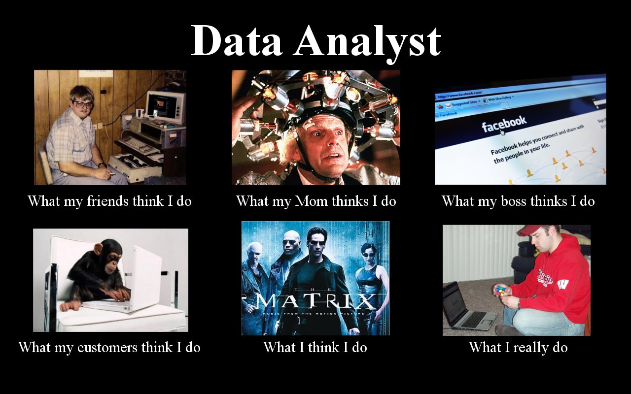 data-analyst.jpg