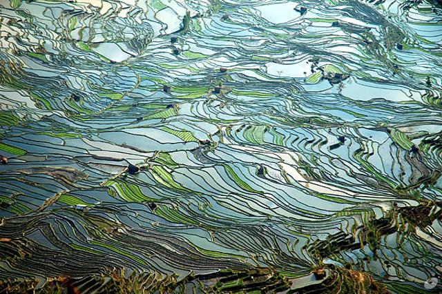 hani_terraces.jpg