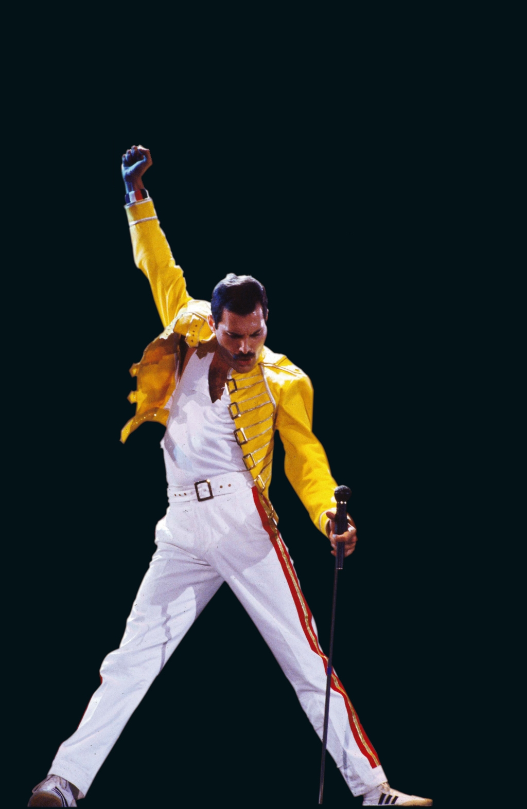 Freddie Mercury Olvass érdekességeket