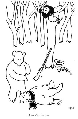 medve.jpg