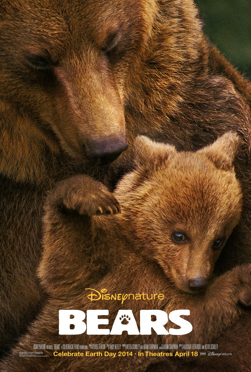 Bears Trailer Premierfilmek