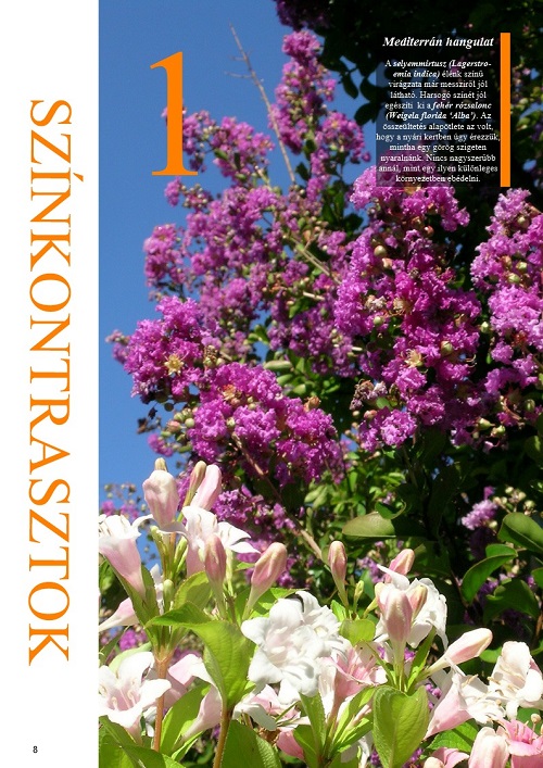 novenytarsitasok_mediterran_kertbe_teraszra_4.jpg