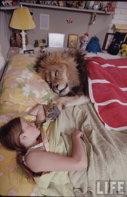 Living with a Lion, ca. 1970s (1).jpg