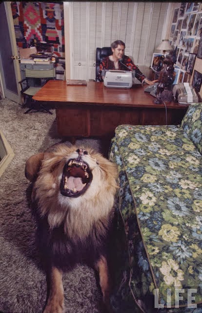 Living with a Lion, ca. 1970s (12).jpg
