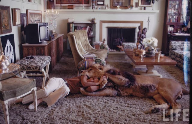 Living with a Lion, ca. 1970s (8).jpg