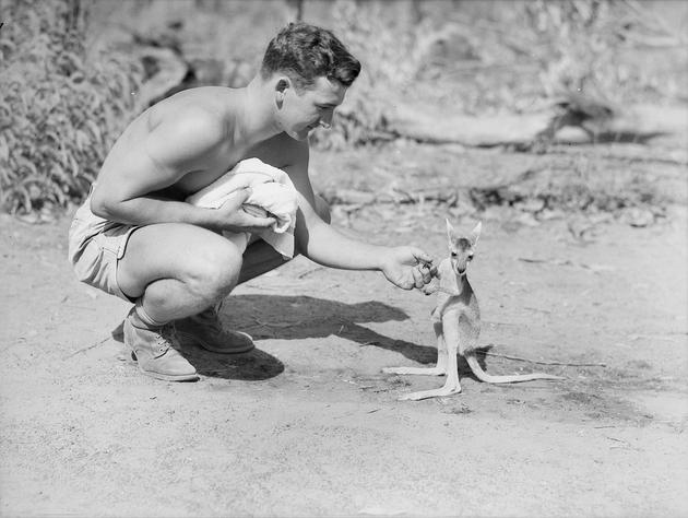 1942-american-soldier-kangaroo.jpg