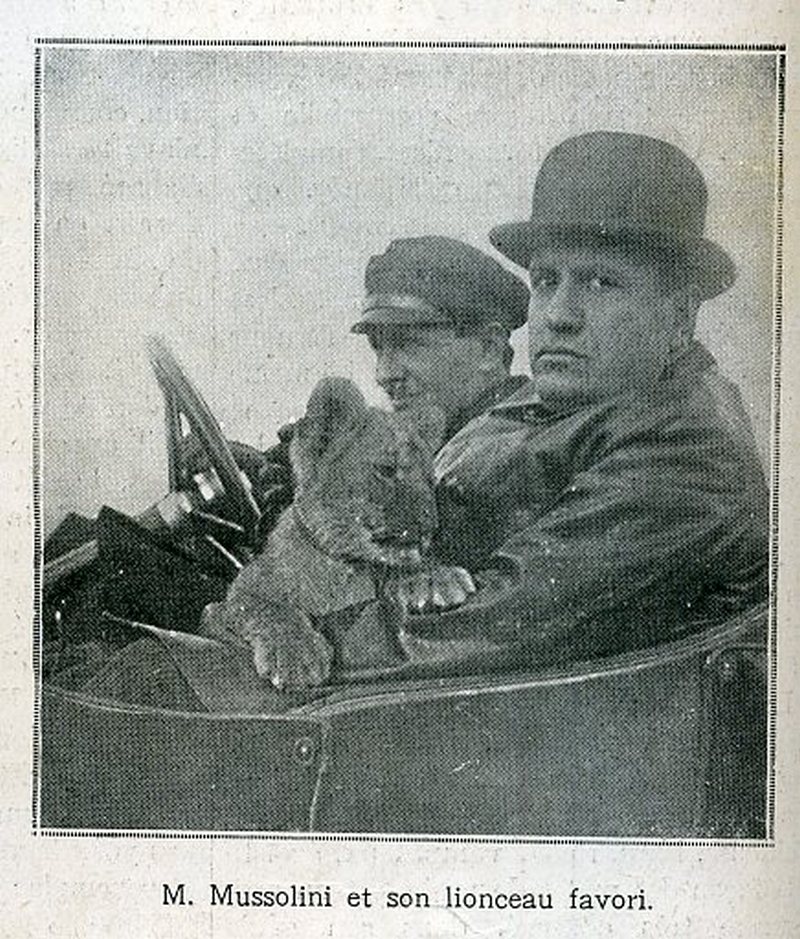 1924. Mussolini kölyökoroszlánjával, Ras-szal..jpg