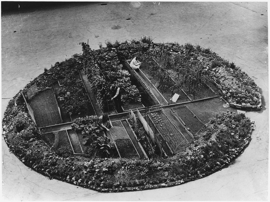 1943. Londoni nyilvános téri kiskert, egy bombatölcsérbe telepítve..jpg