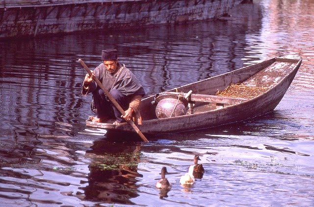 Vale of Kashmir, India, 1982 (17).jpg