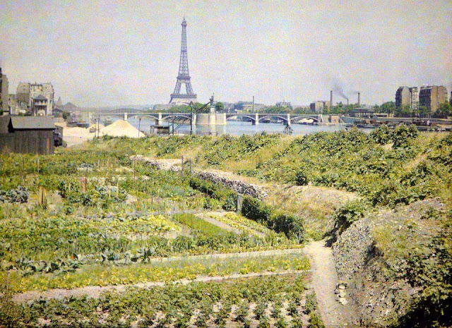 Rare Color Photography of Early 1900s Paris (13).jpg