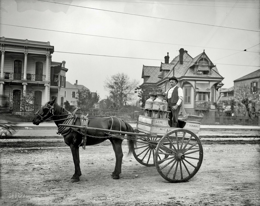 New Orleans from between the 1900s and 1910s (13).jpg