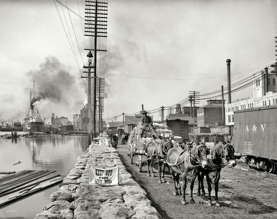 New Orleans from between the 1900s and 1910s (4).jpg