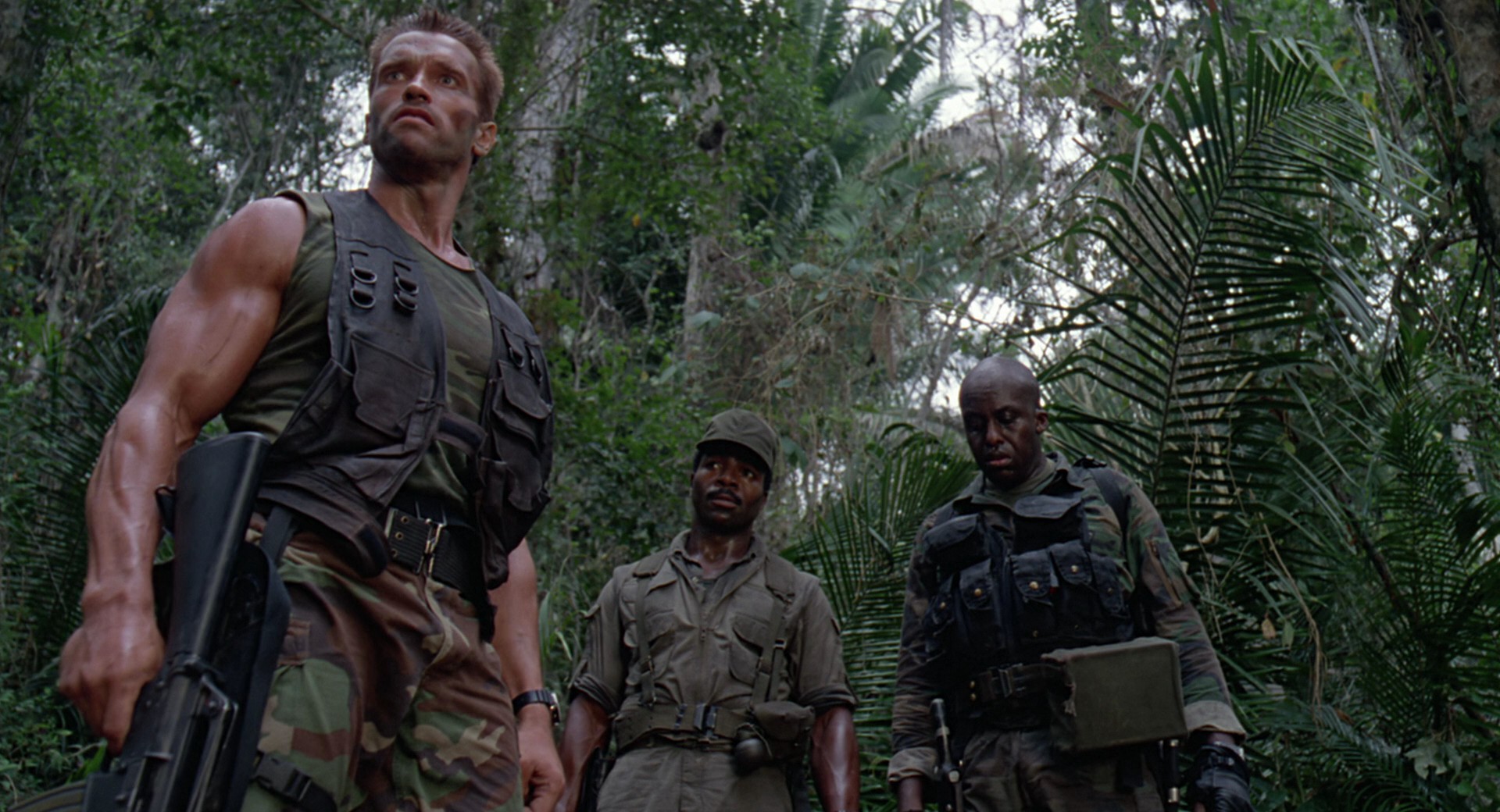 Képtalálat a következőre: „predator 1”