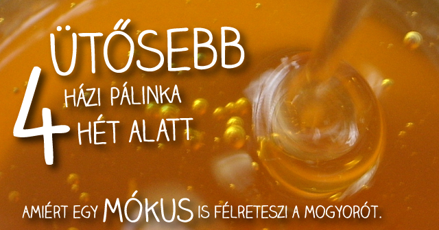 mokuspalinka-cover2.png