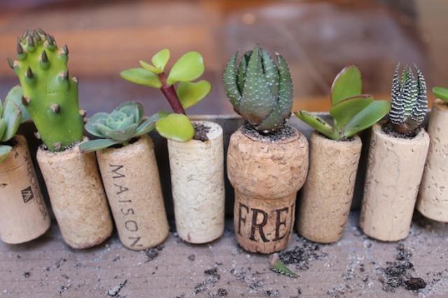 cool-diy-mini-magnet-garden-5.jpg
