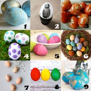 link-love-eggs.jpg