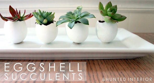 eggshell-succulent.jpg