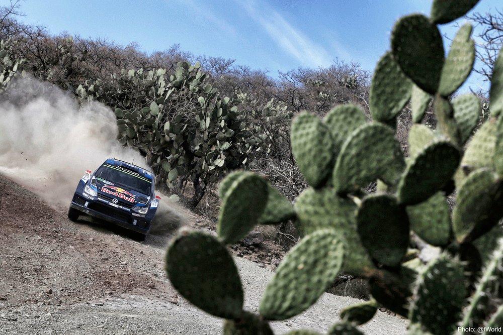 WRC Mexikó Rally 2015