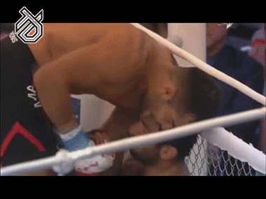 buchinger-mikhail2.gif