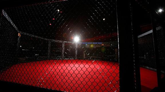 dm_141216_mma_fighters_suing_ufc_antitrust.jpg