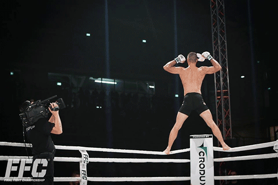 halmi2.gif