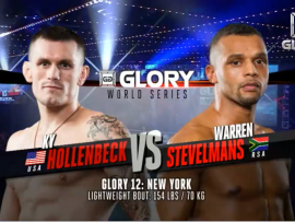 hollenbackstevelmans