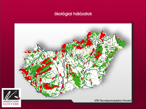 gráfok-lovász-lászló-mindentudás-7.jpg