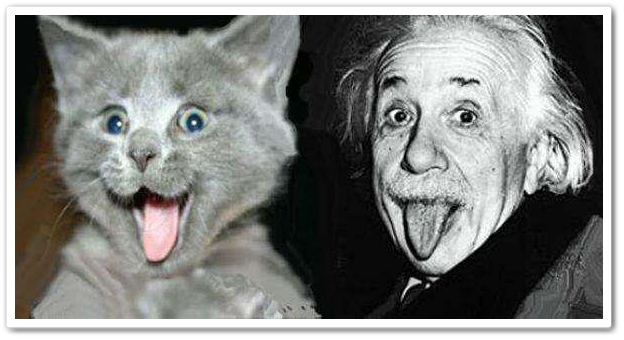 humor-albert-einstein-funny-pictures-110.jpg