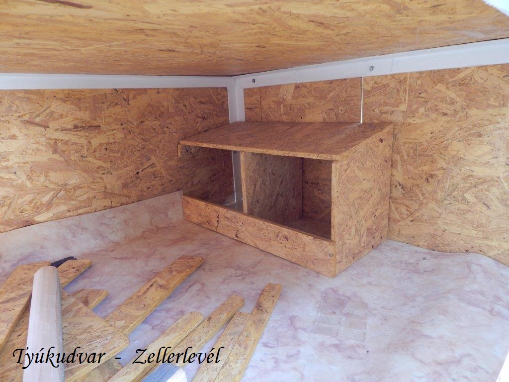 zeller7.jpg