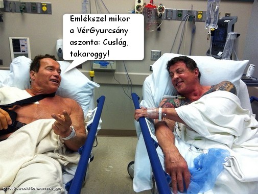 Schwarzenegger-Stallone-Hospital020812-jpg_000104.jpg
