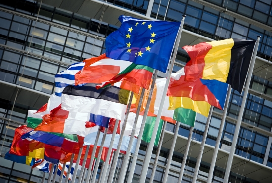 Europeanparliamentflags.jpg