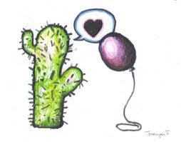 kaktusz.jpg