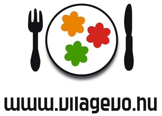 logo_Vilagevo_RGB_565_cropped.jpg