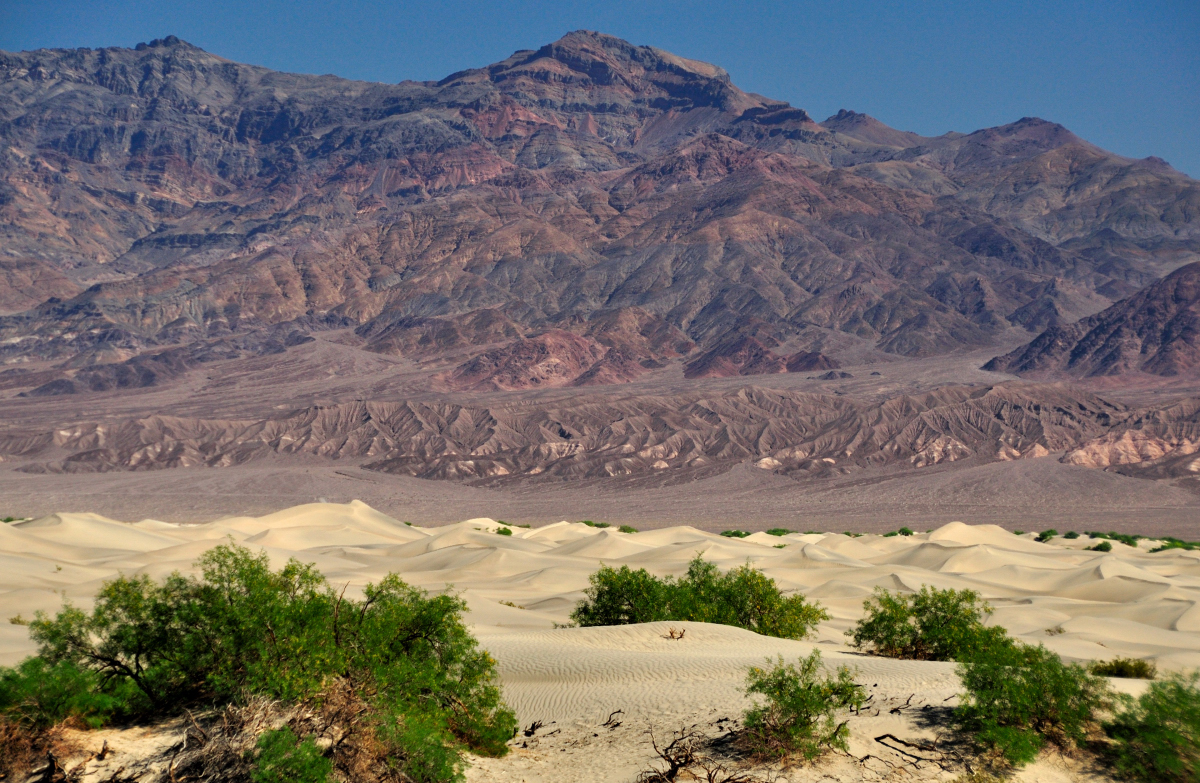 Death Valley_Mosquito sand dunes2.JPG