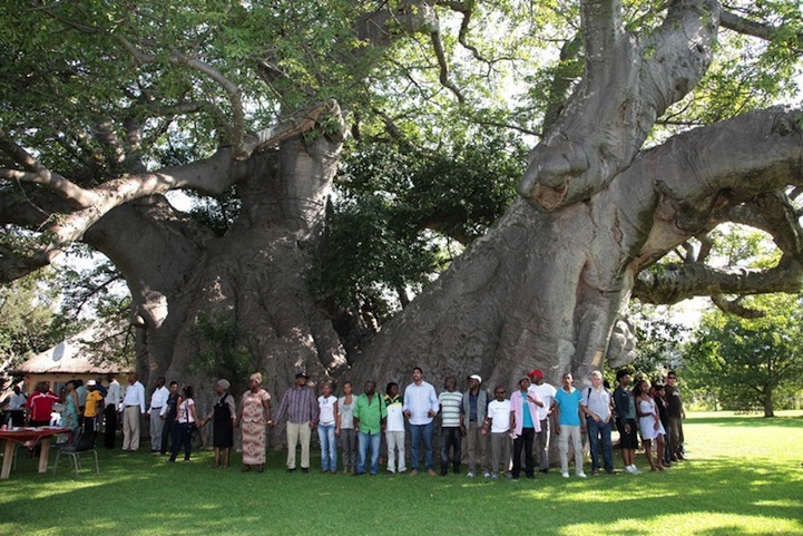 sunlandbigbaobab9.jpg