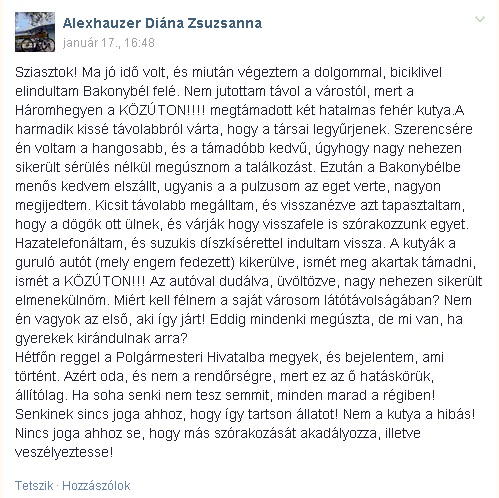 kutya.JPG