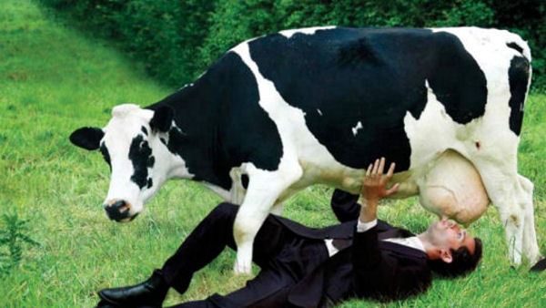 Dont-drink-cows-milk.jpg