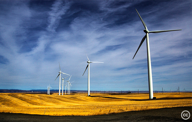 wind-farm-cc-jeff-hayes-2008.jpg