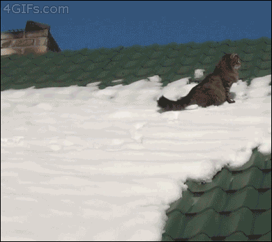 cat-on-the-snowy-roof.gif