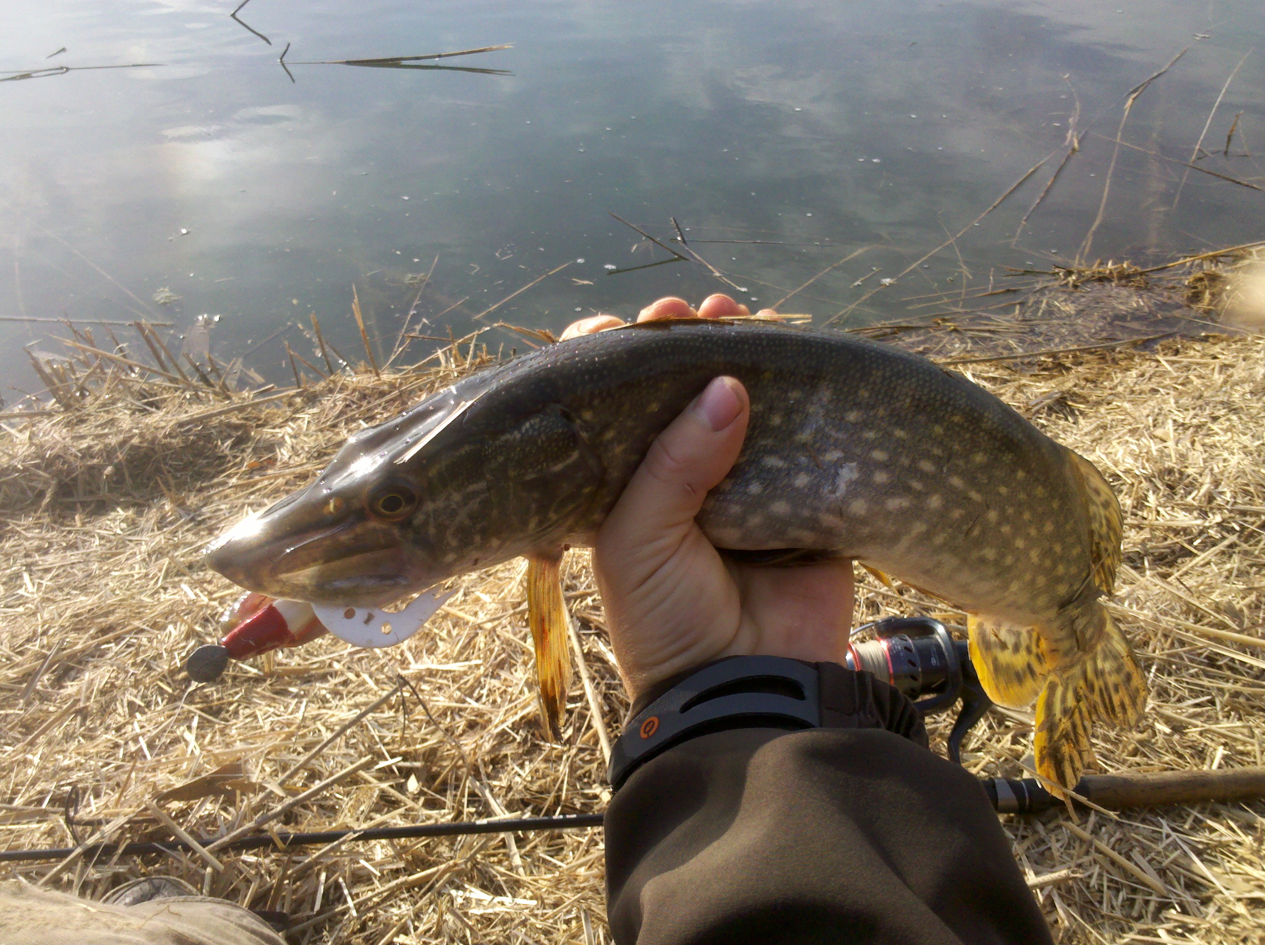 IMG_20131231_111248.jpg